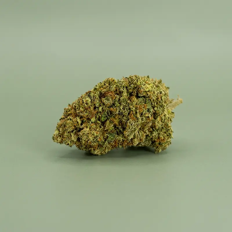 Alien OG / Indoor 🇨🇭