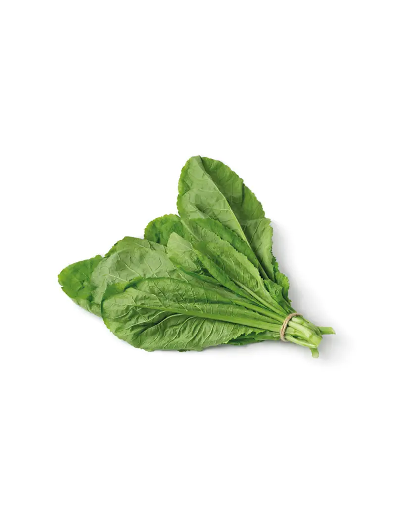 Amsoï