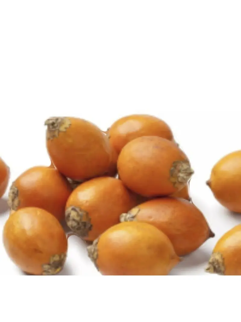 Awara