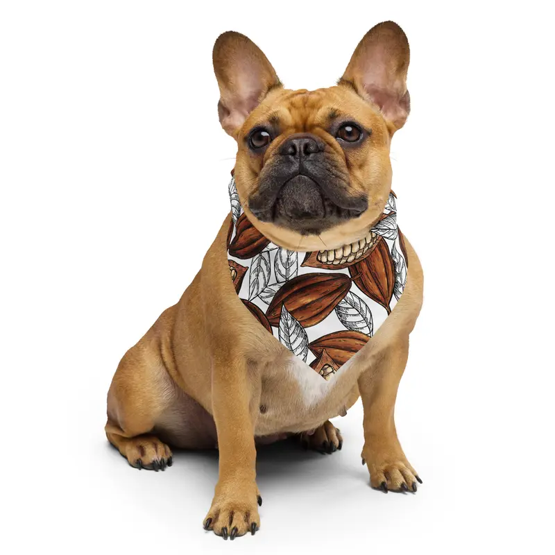 Bandana Cacao
