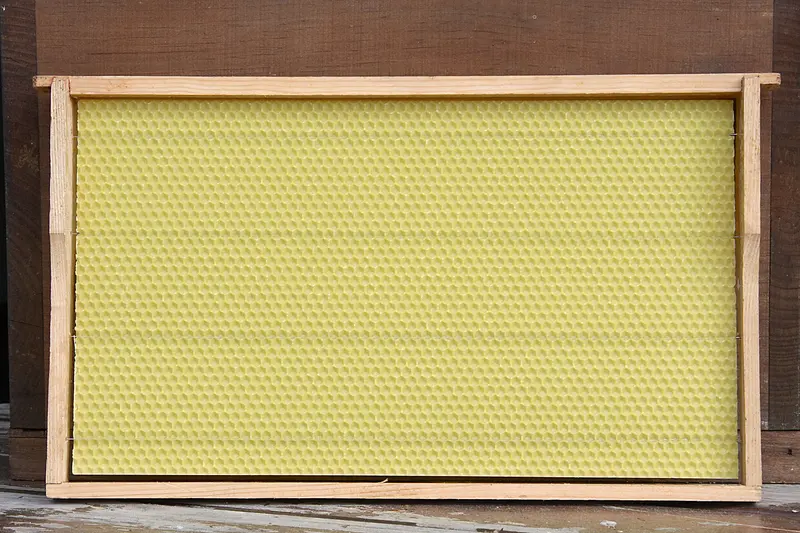 Beeswax Foundation
