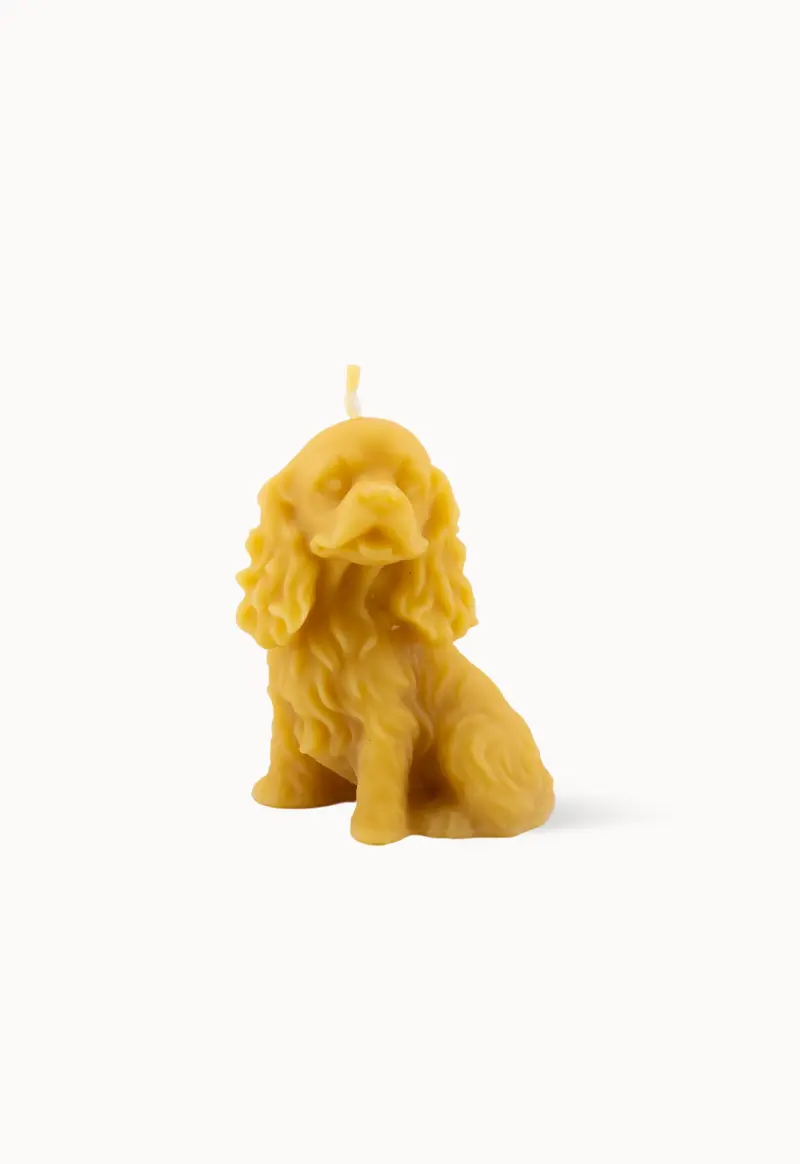 Bougie Chien Cocker