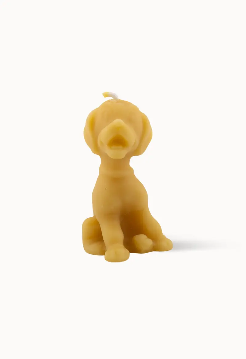 Bougie Chiot