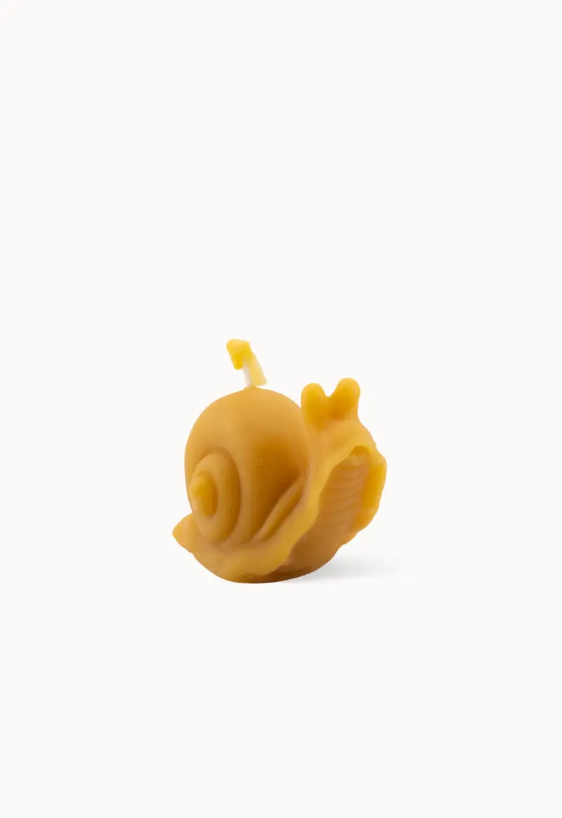 Bougie Escargot