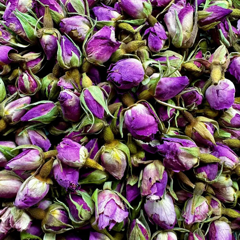 Boutons de roses BIO