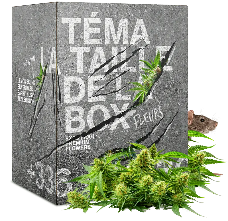 BOX DU RAT 20G FLEURS CBD 🐭