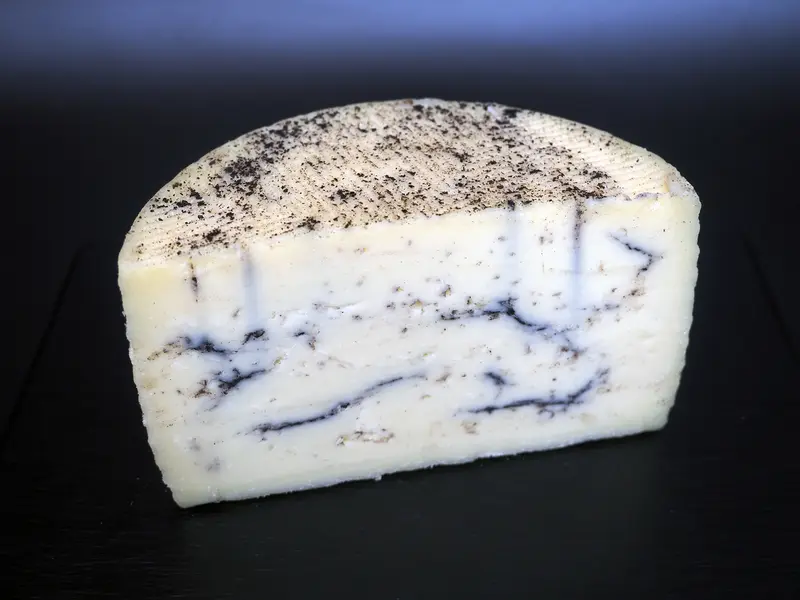 Brebis Truffe