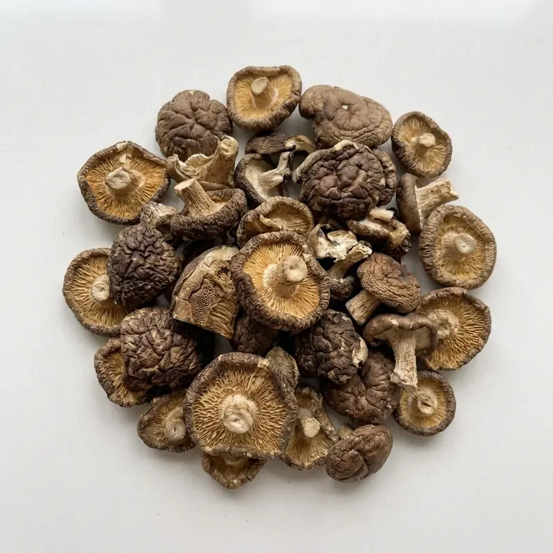 CHAMPIGNONS morceaux bio