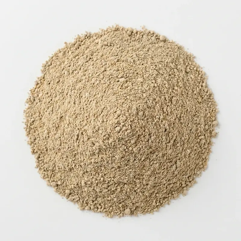 CHAMPIGNONS poudre bio