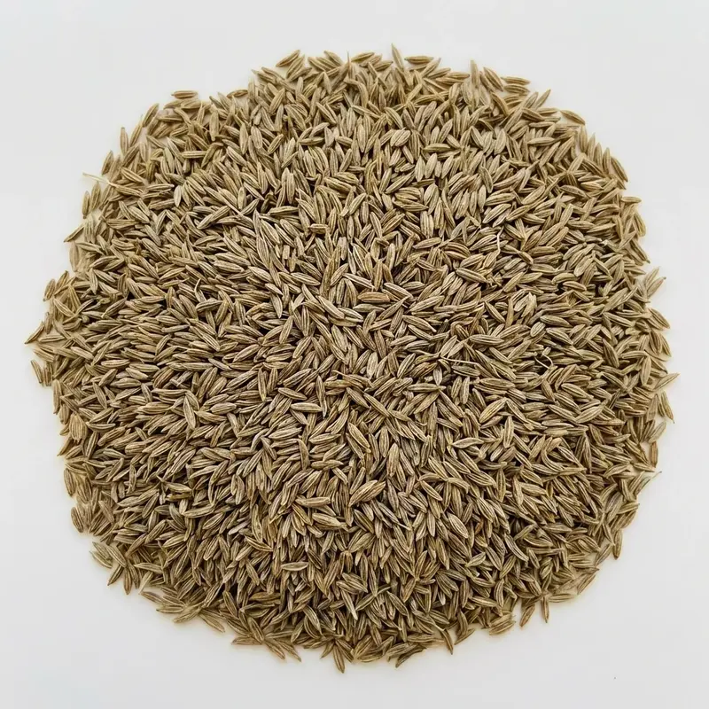 Cumin Entier BIO