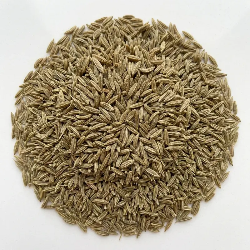 CUMIN graines bio