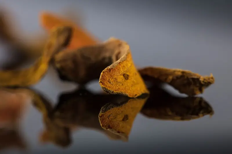 Curcuma en copeaux