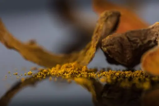 Curcuma en poudre