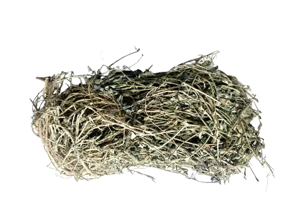 DJOFAGA