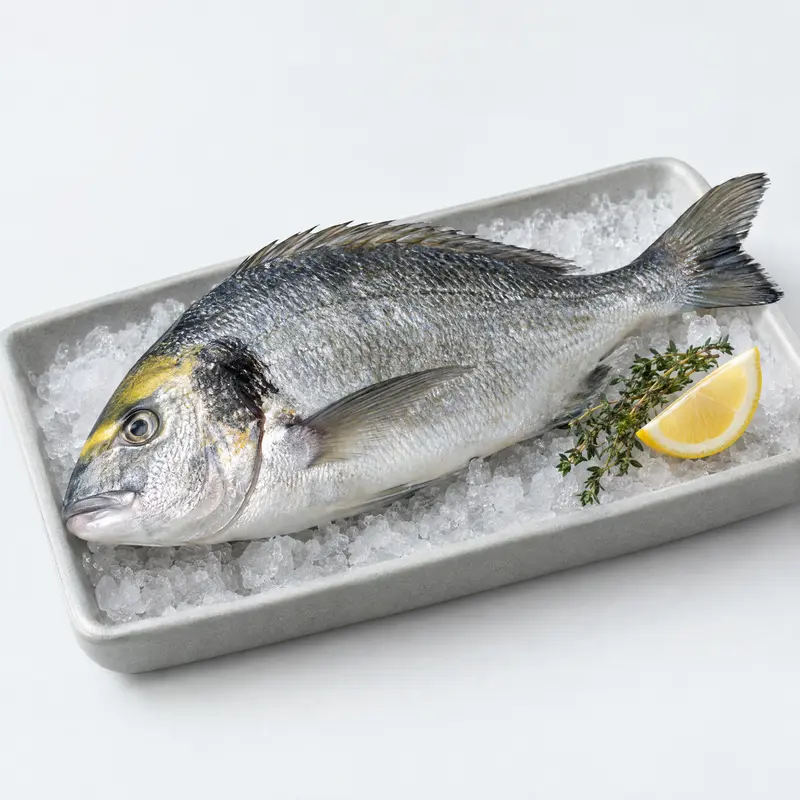 Dorade royale d'élevage