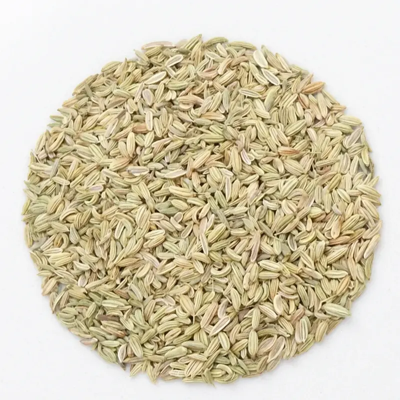 FENOUIL graines bio