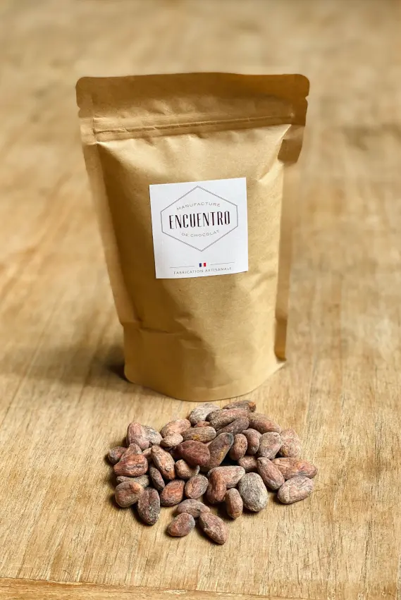 Fèves de cacao bio torréfiées
