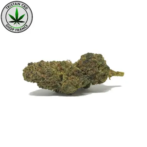 Fleur HHC - AMNESIA👀 20%