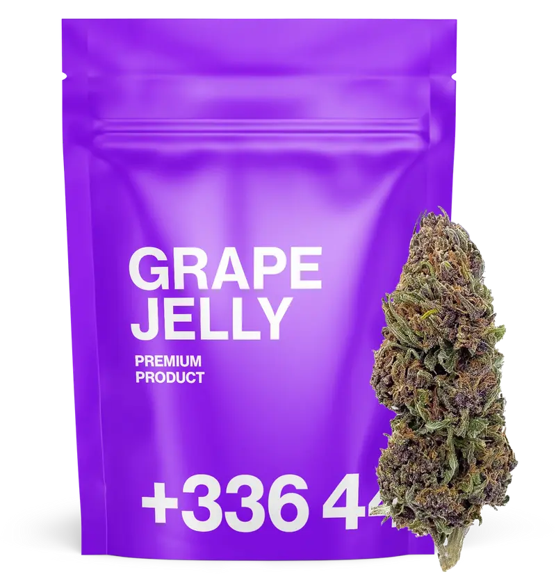 Grape Jelly 🍇