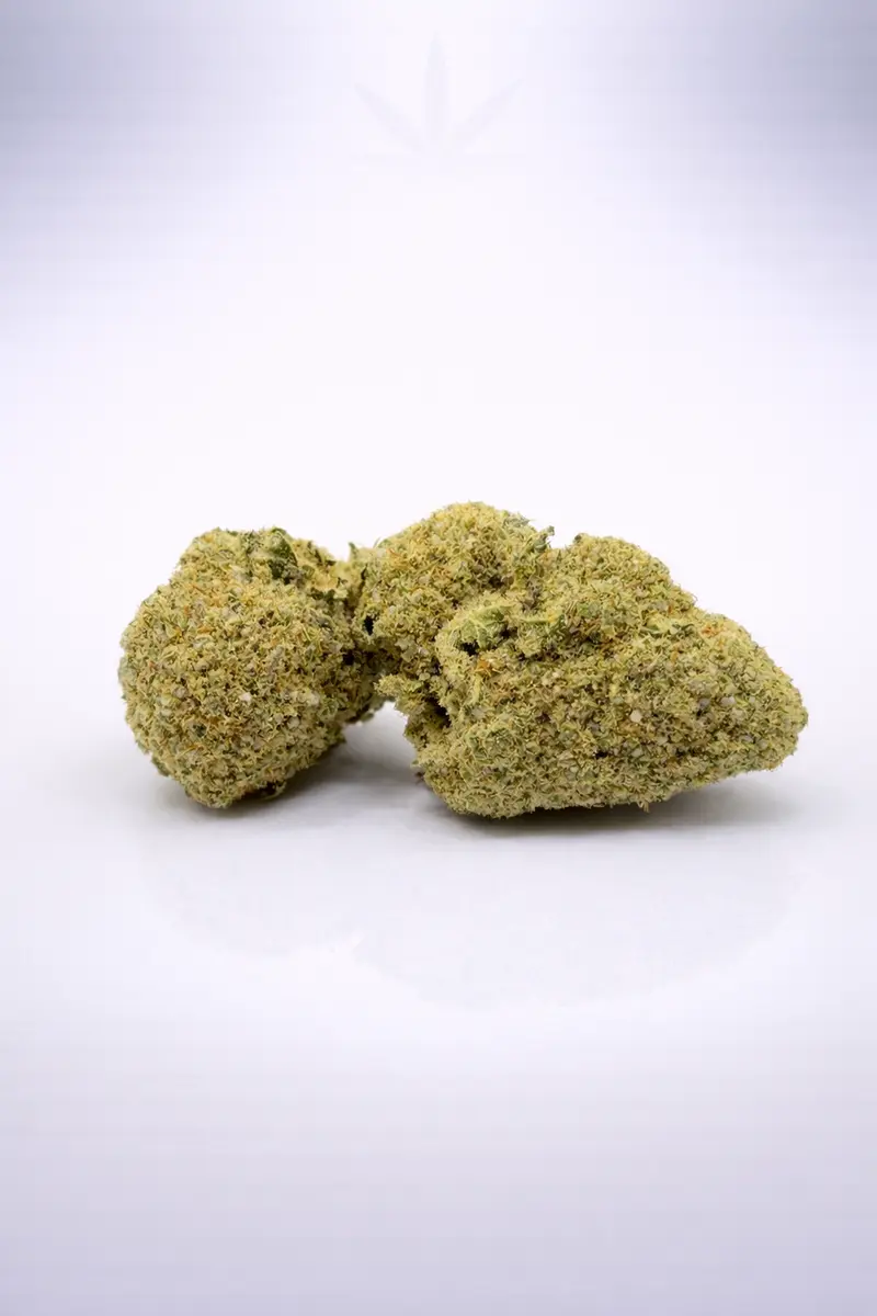 Jack Herer 18% CBD - Indoor
