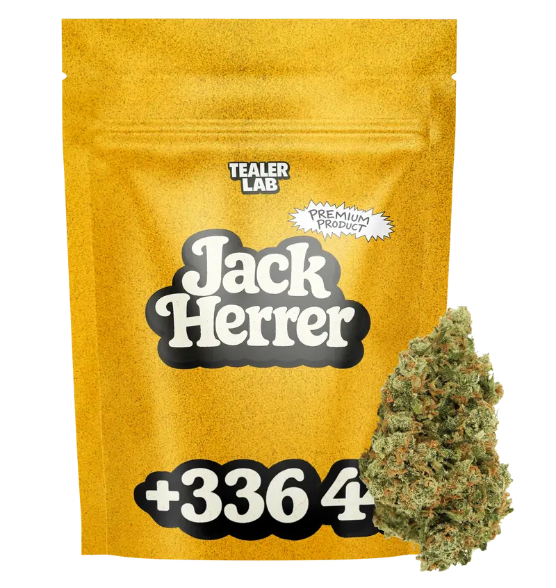 Jack Herrer CBD