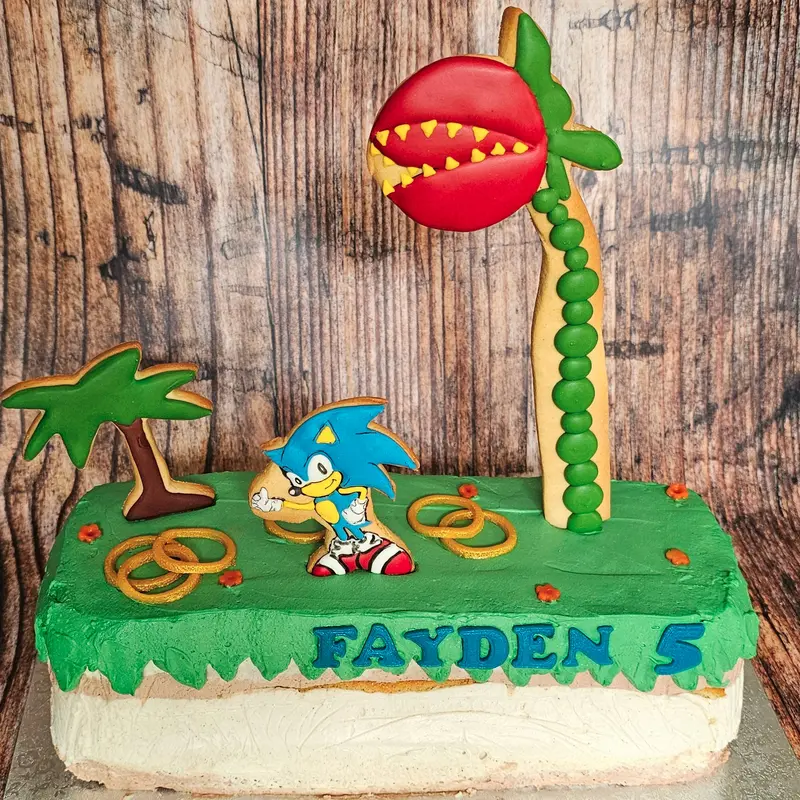 Kit Sonic