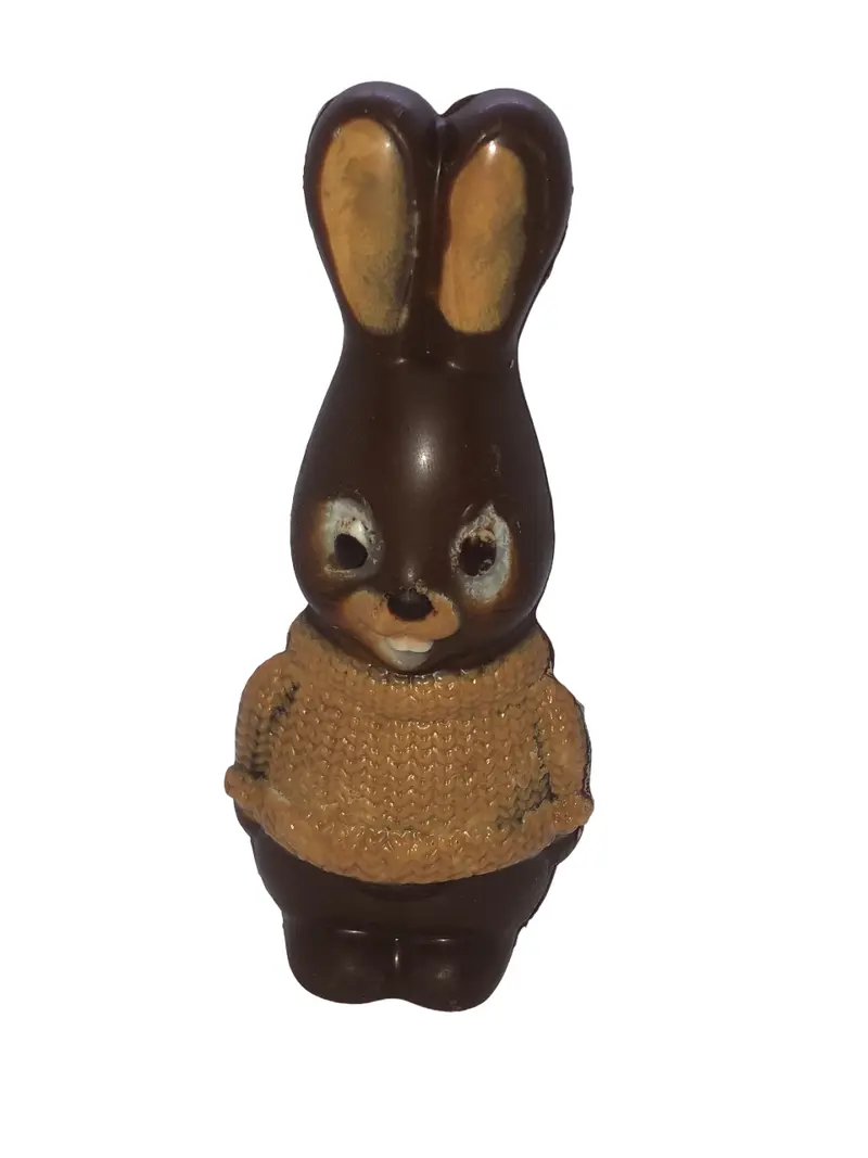 Lapin au Pull