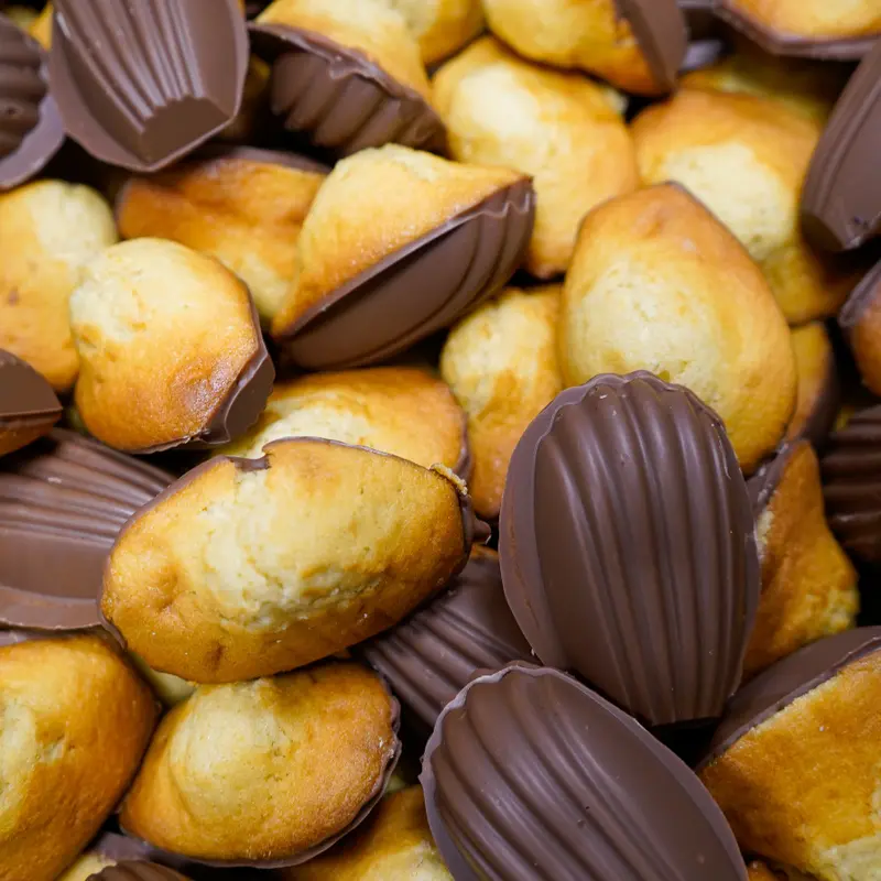 Madeleine chocolat lait