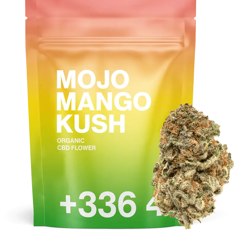 Mojo Mango Kush - Fleur CBD 🥭