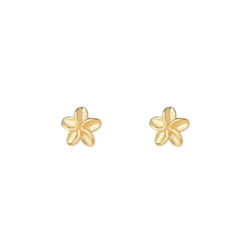 Petites puces florales
