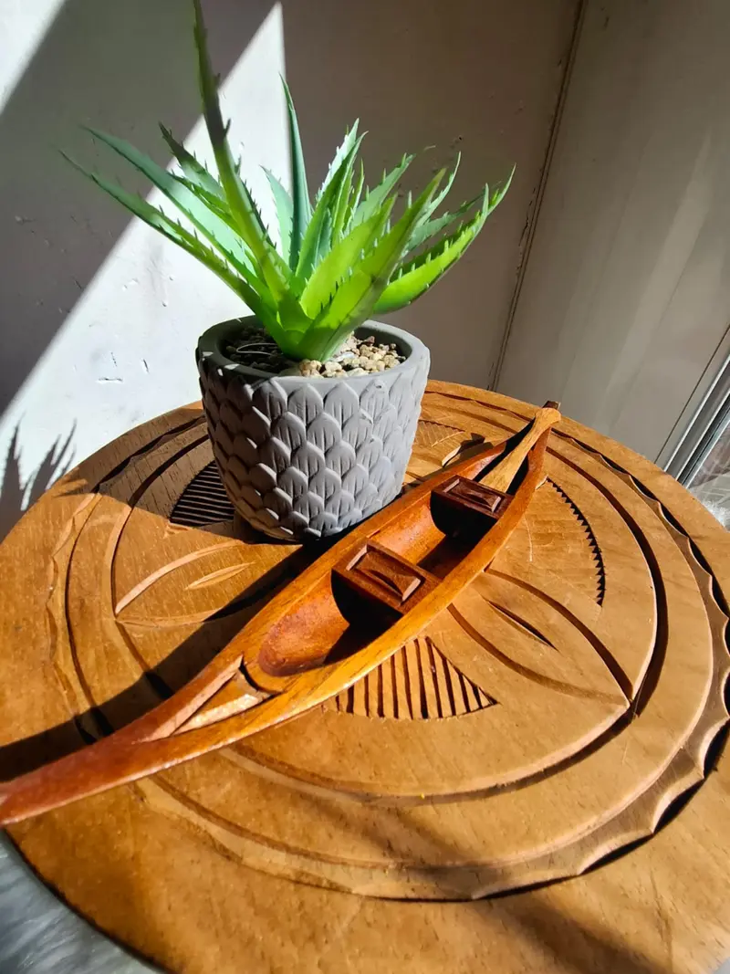 Pirogue en bois