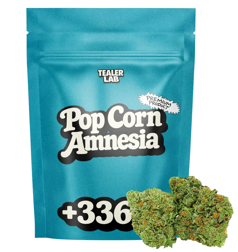 Pop Corn Amnesia - Fleur CBD 🍿