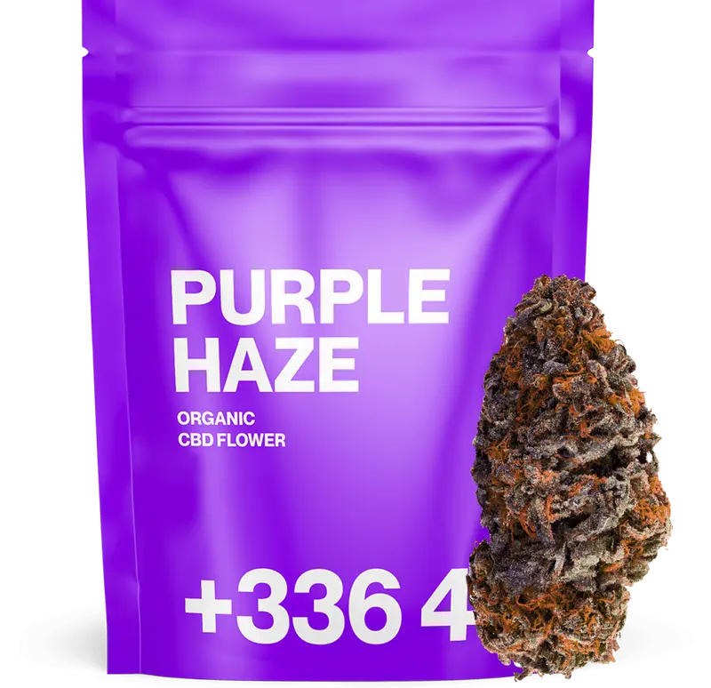 Purple Haze - Fleur CBD 😈