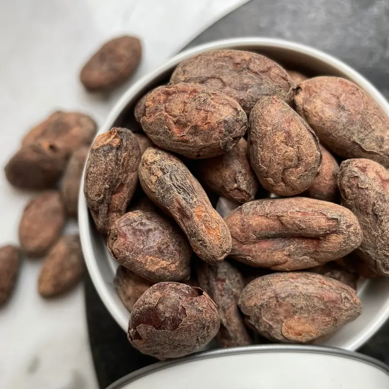 Roasted cocoa bean