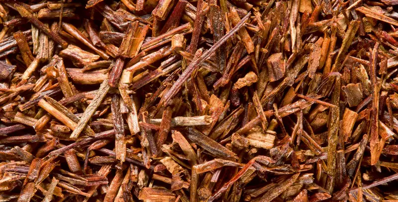 Rooibos Cederberg
