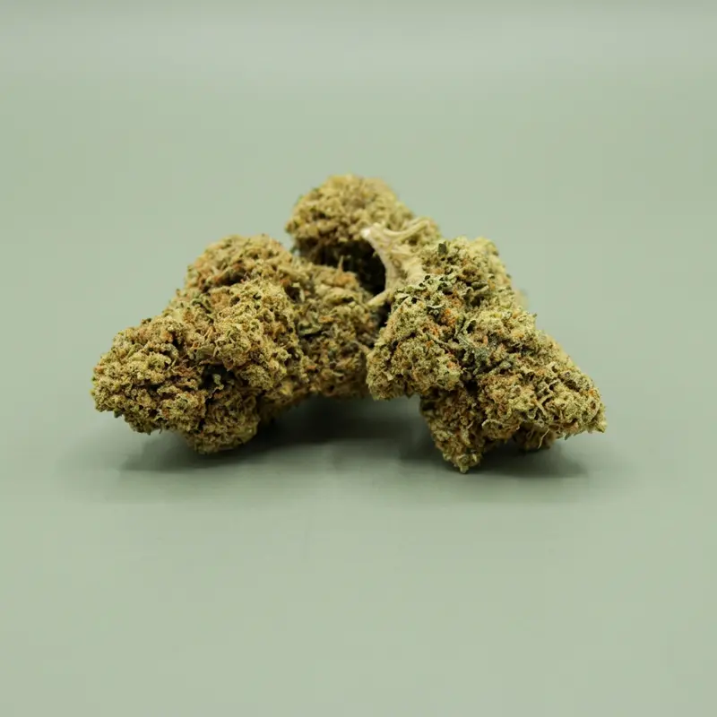 Skywalker OG / Indoor 🇨🇭