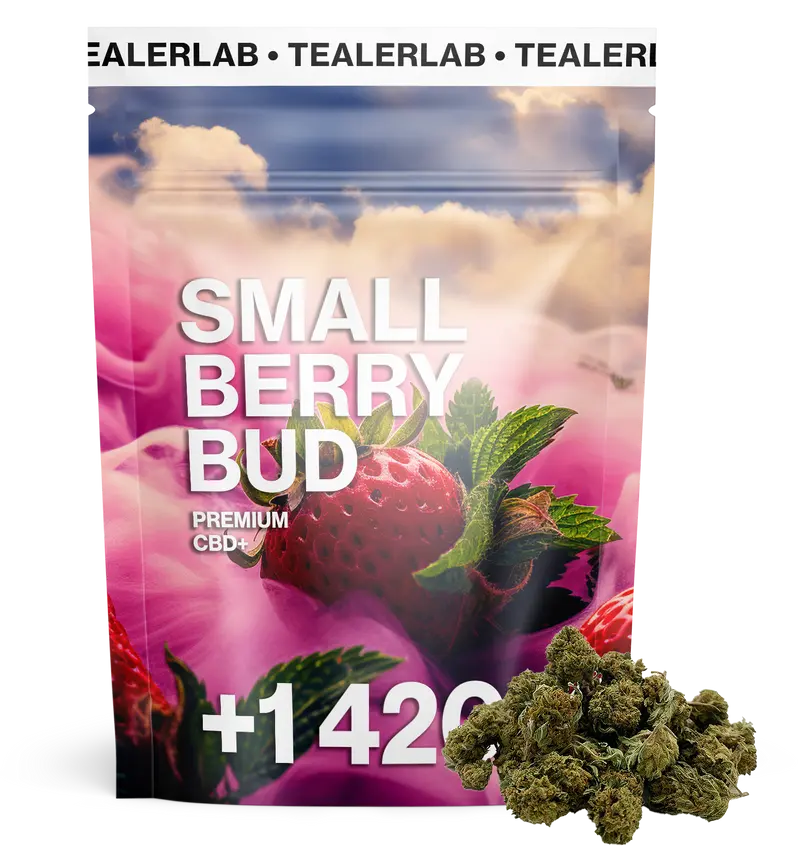 Small Berry Bud CBD+ 🍓
