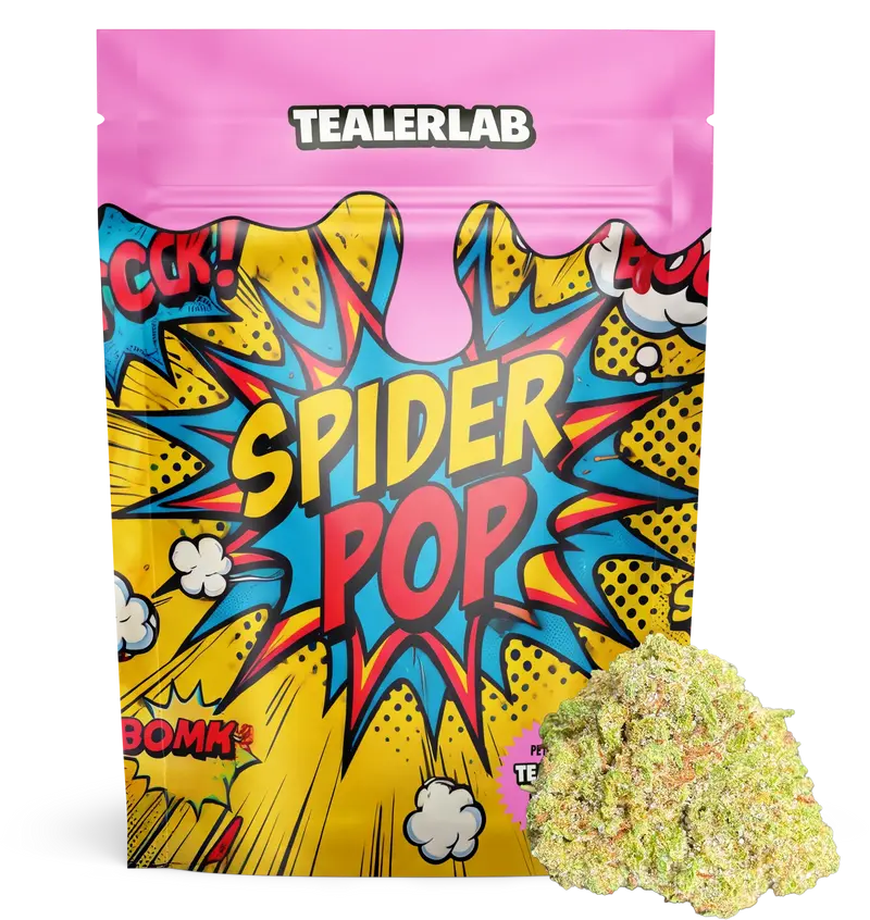 Spider Pop 19% CBX+