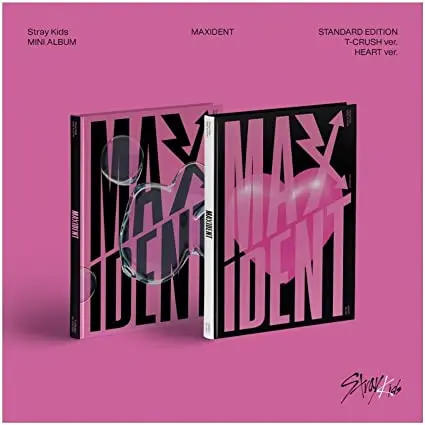 STRAY KIDS - MAXIDENT