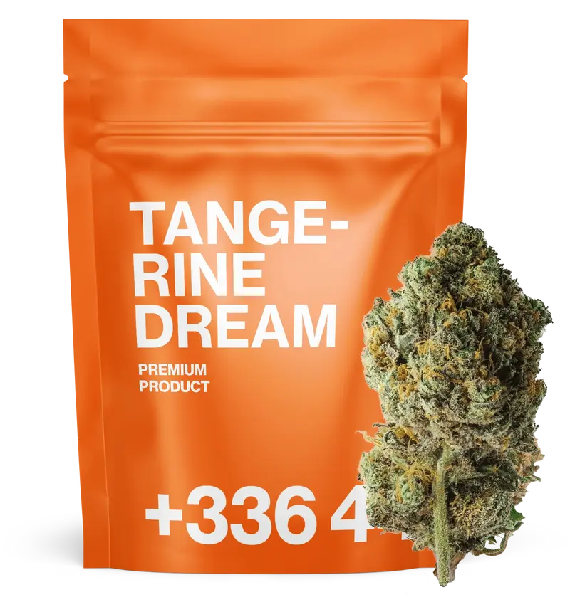 Tangerine Dream 🍊