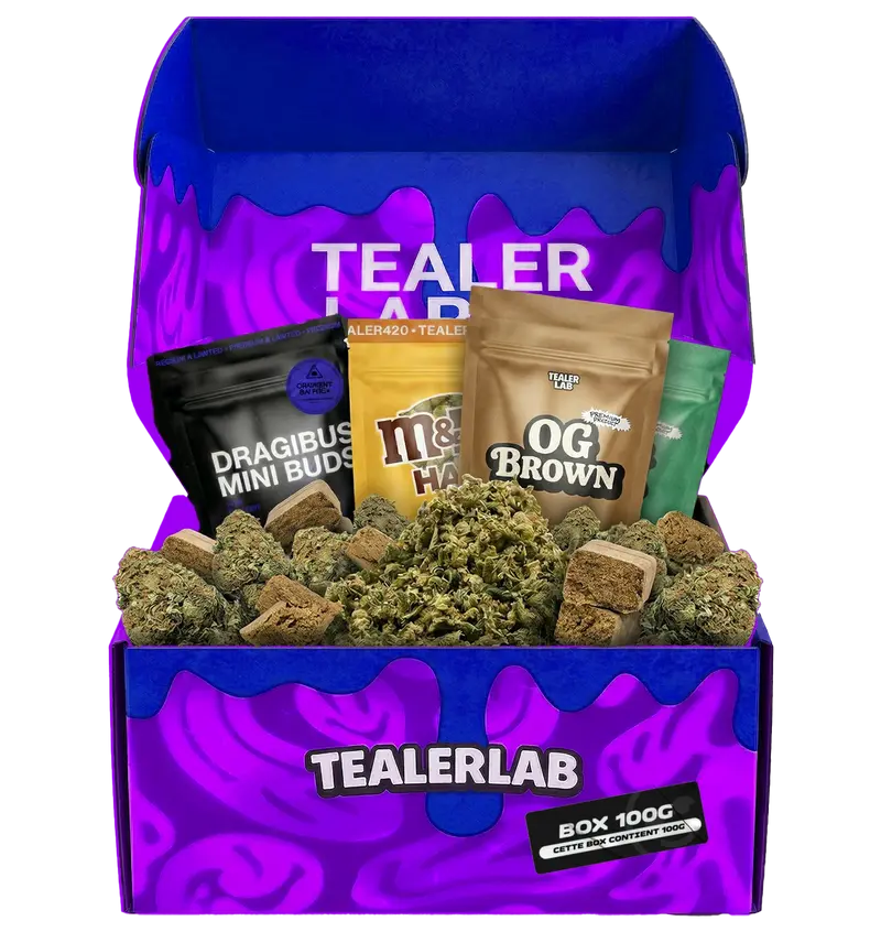TEALER BOX 100G