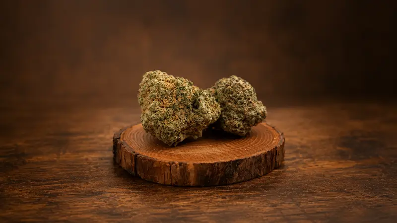 TERRA Cookies