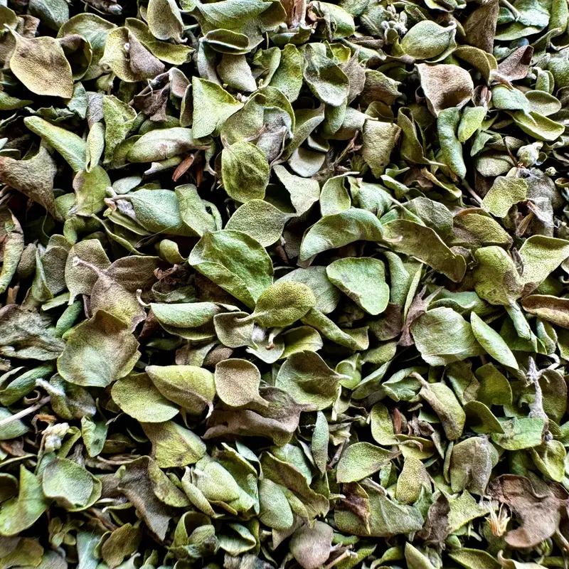 Thym sauvage BIO