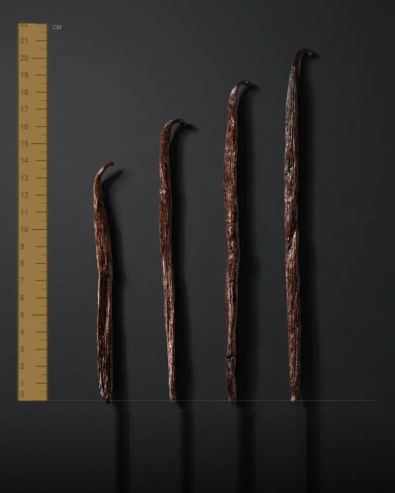 Vanille Bourbon de Madagascar, au choix