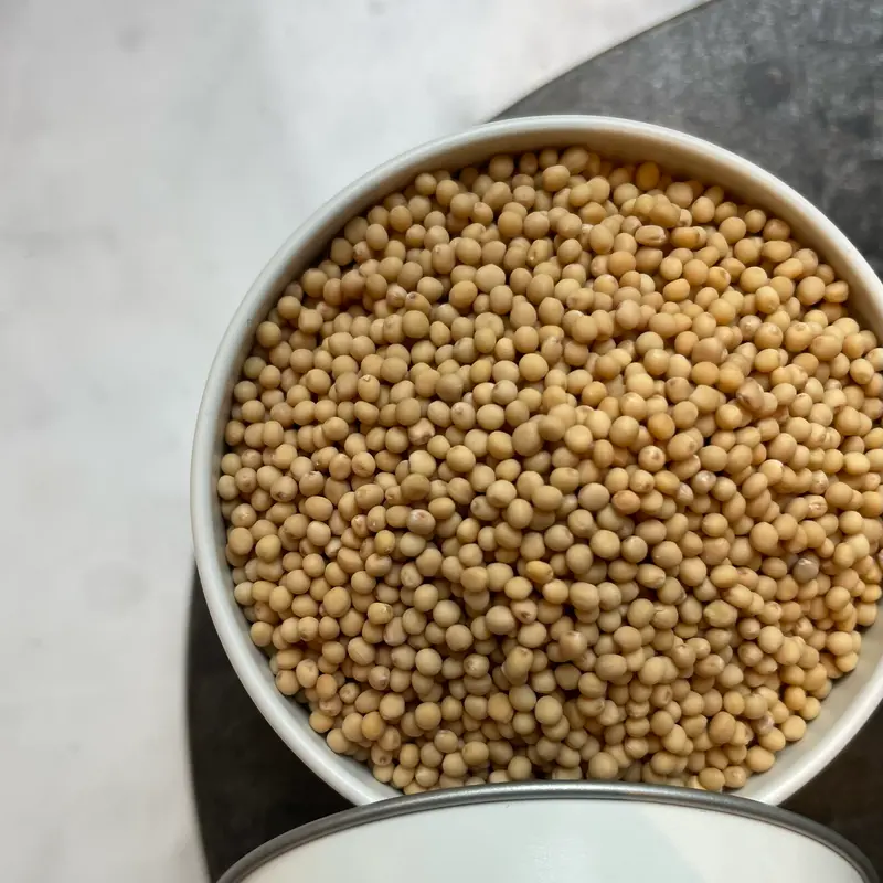 Yellow mustard seed